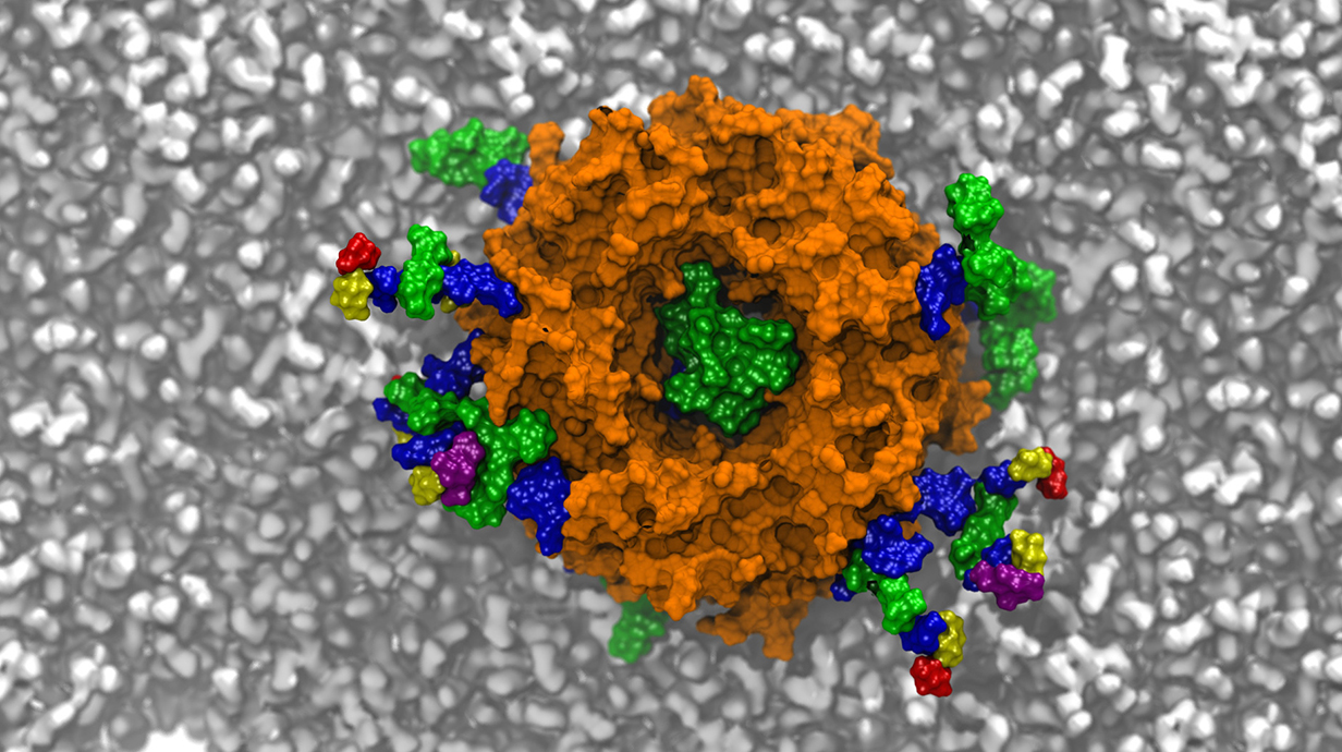 ucimg-3533-3.jpg