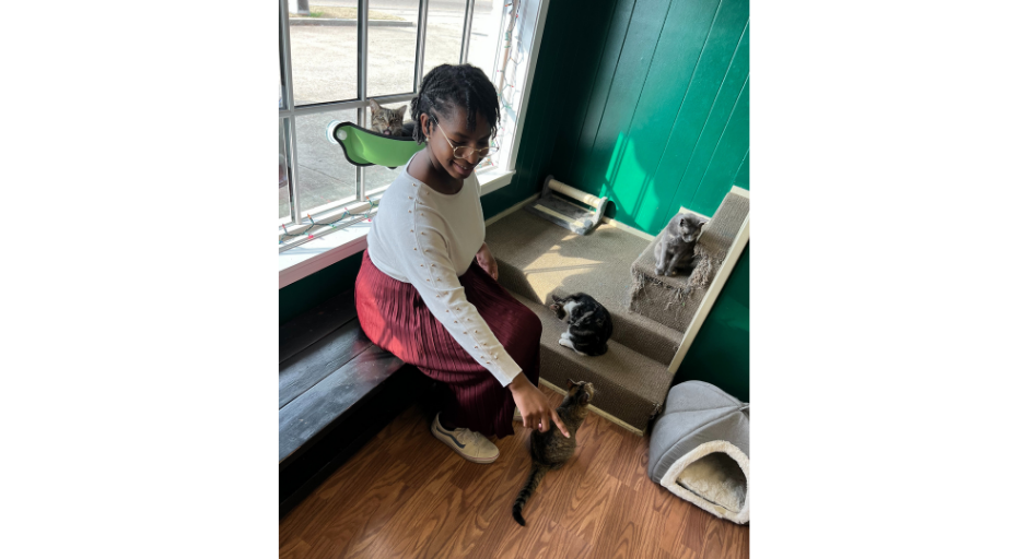 An image of Jo'Anna Thompson playing with cats. 