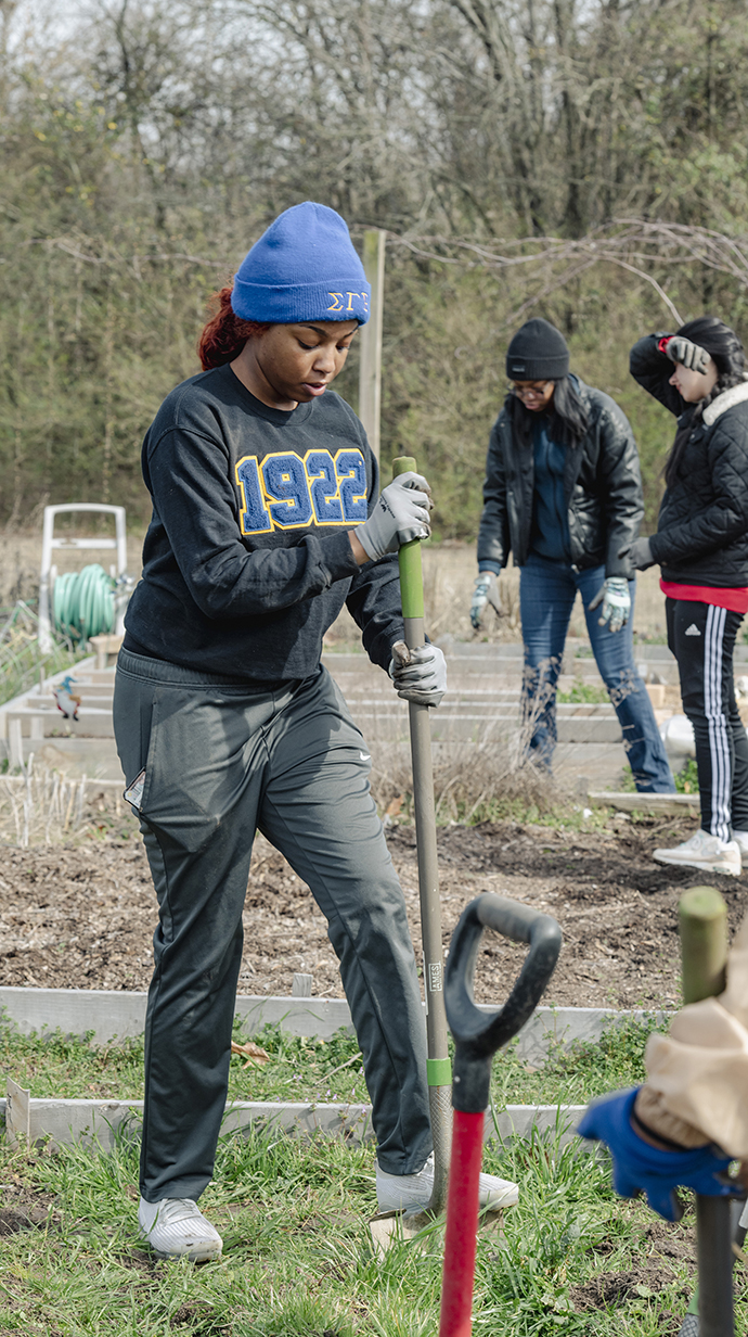 A young woman uses a shovel to dig in a garden.