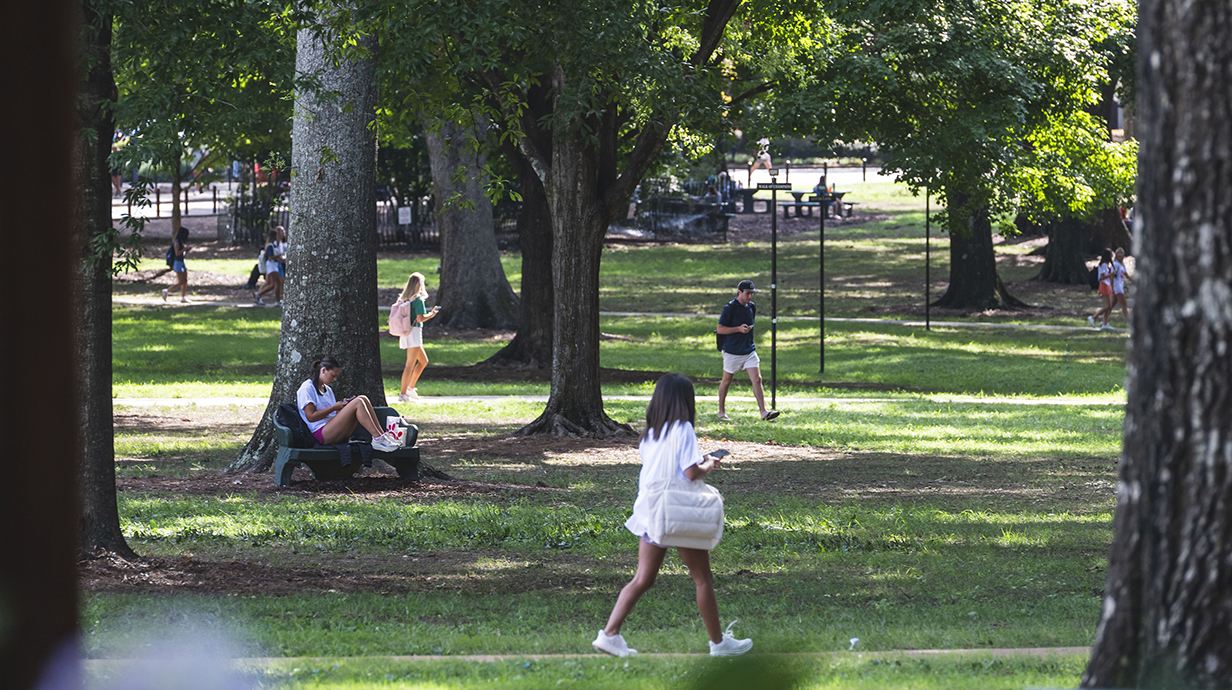 Several young people walk through a tree-shaded park.