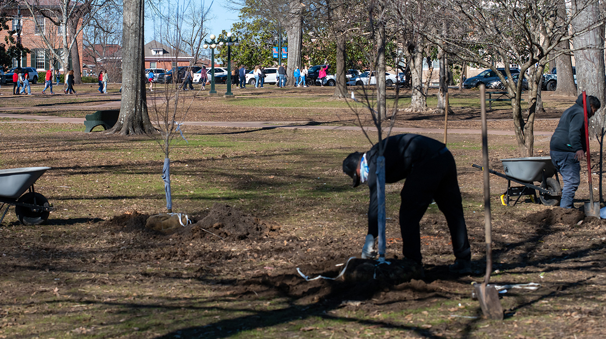 Two workers plant young trees in a wooded park as people walk through in the distance.