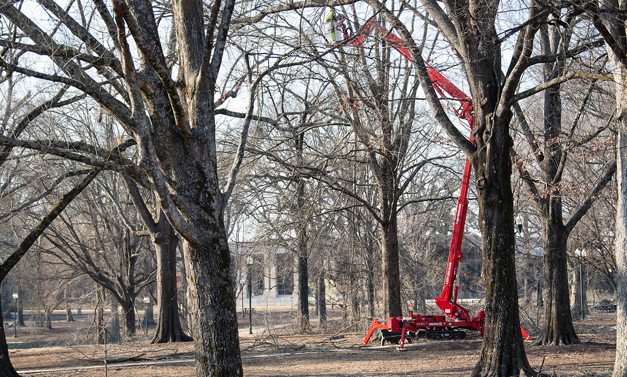 A large red crane sits in a wooded area near several large buildings.