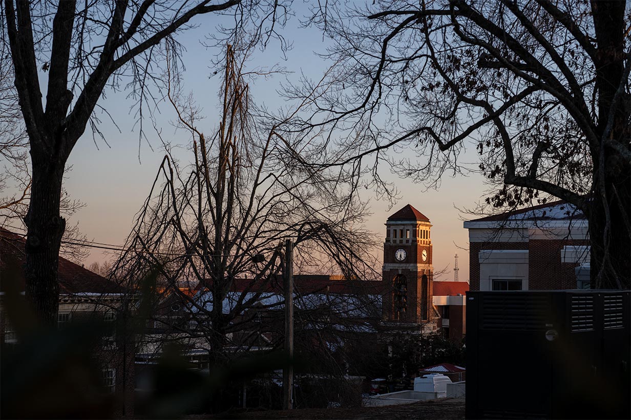 Silhouette of the Peddle Bell Tower visible through the jagged, broken branches of a storm-damaged oak tree against a clear sky.