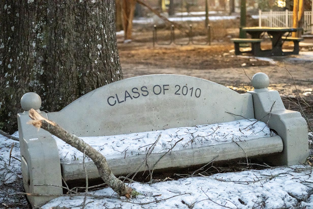A commemorative stone bench in the Grove partially buried under a thick layer of ice and a tangle of fallen tree limbs and twigs.