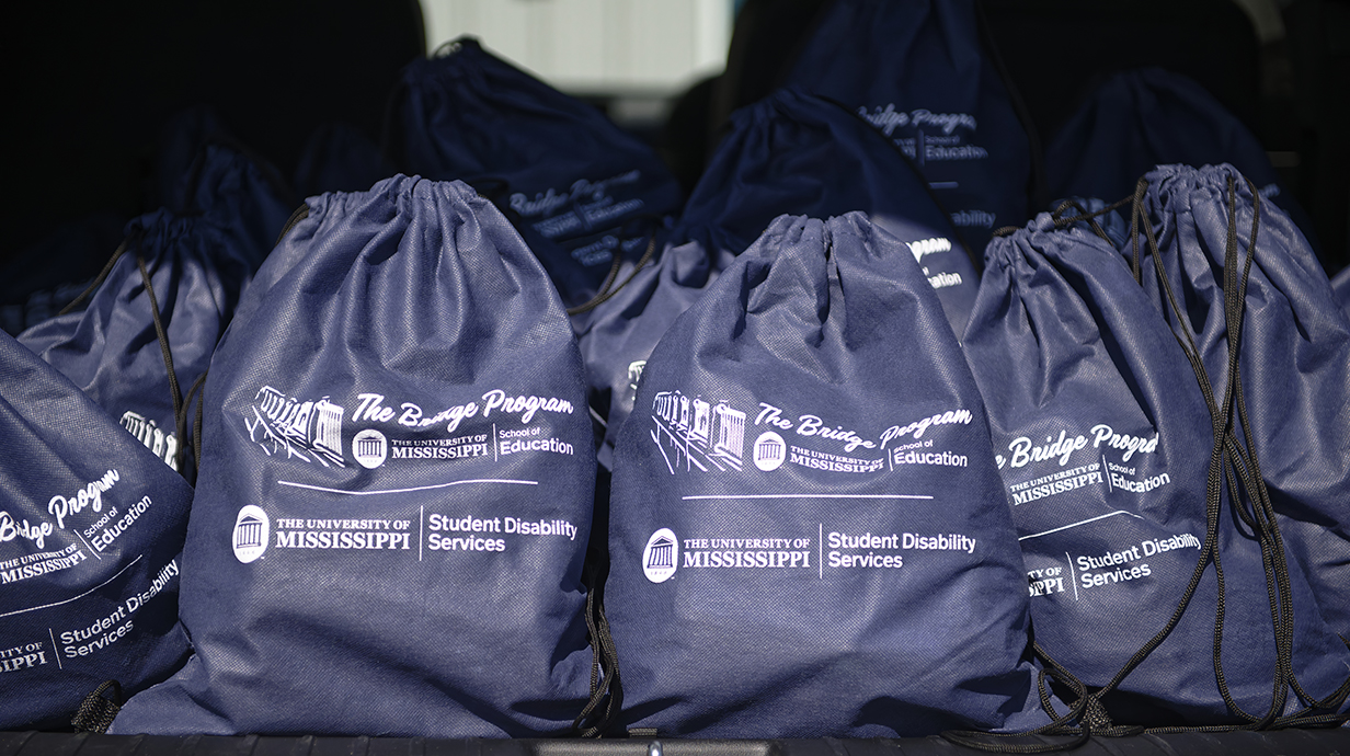 A supply of blue gear bags sits in the back of a car.