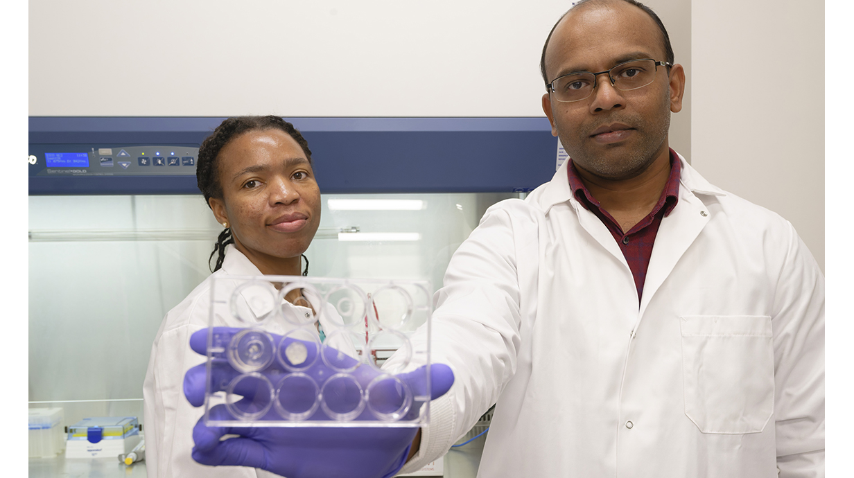 A man and a woman wearing white lab coats hold a 3D-printed model of a cancer drug delivery chip.