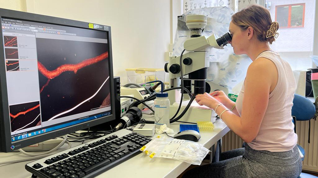 A young woman looks through the eyepiece of a microscope connected to a computer in a lab.