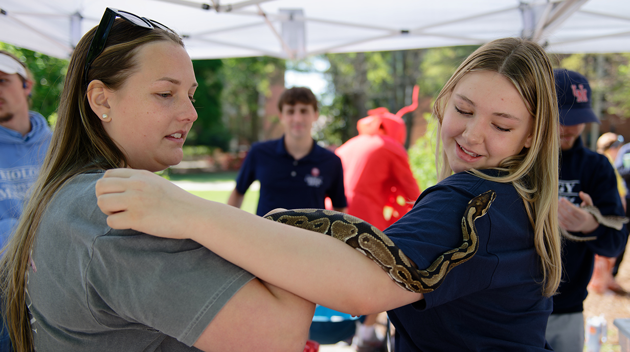A large snake crawls down one woman's arm to another in an outdoor tent.