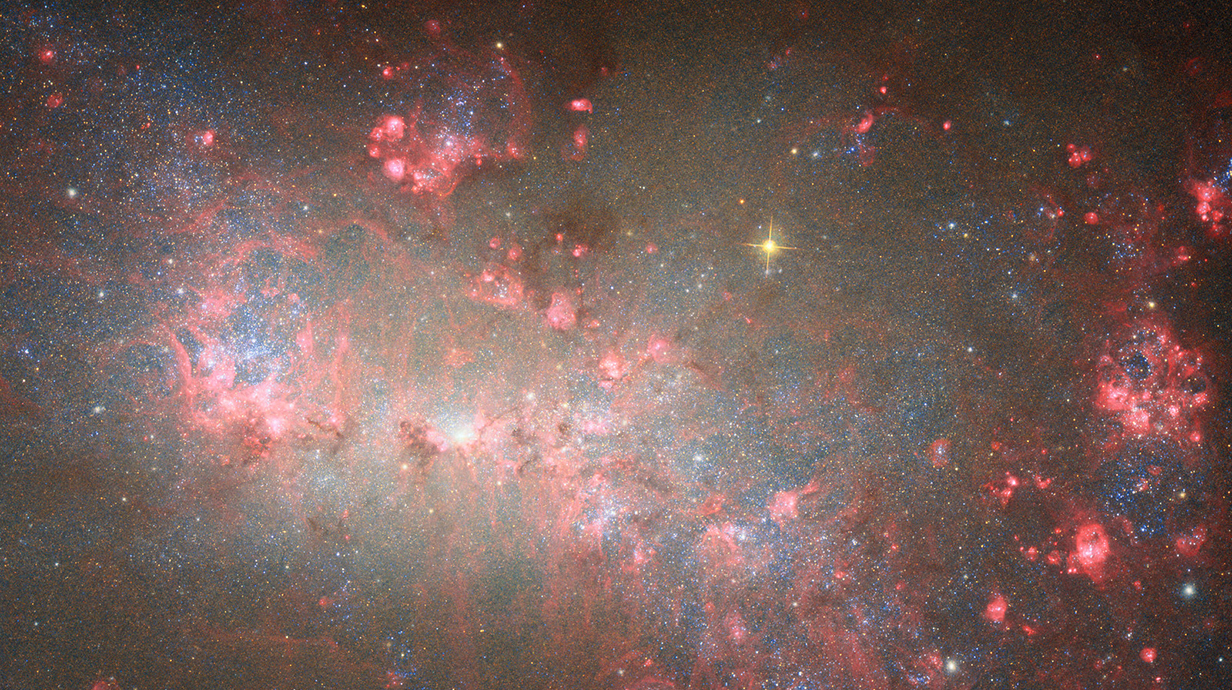 Astrophotograph of stars and galaxies rendered in red light.