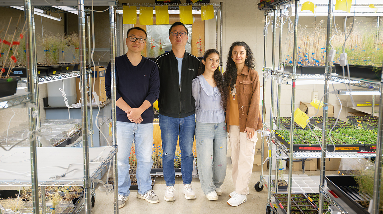 Three men and a woman stand in a lab where plants gorw on several metal racks lining the room.