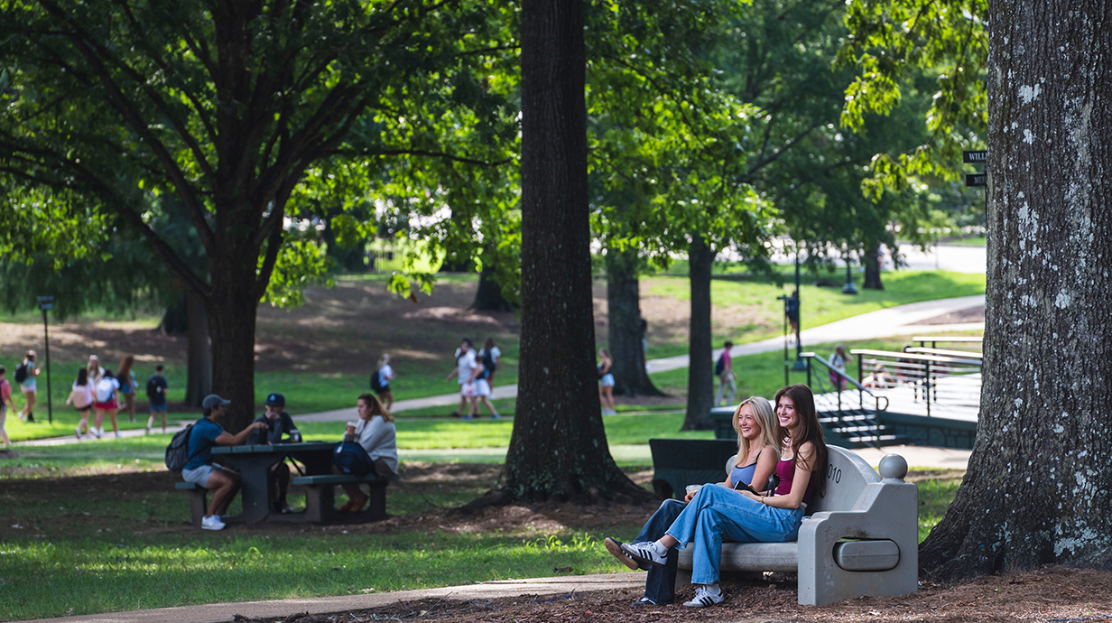 Several young people walk, sit and converse in a beautiful park studded with large trees.
