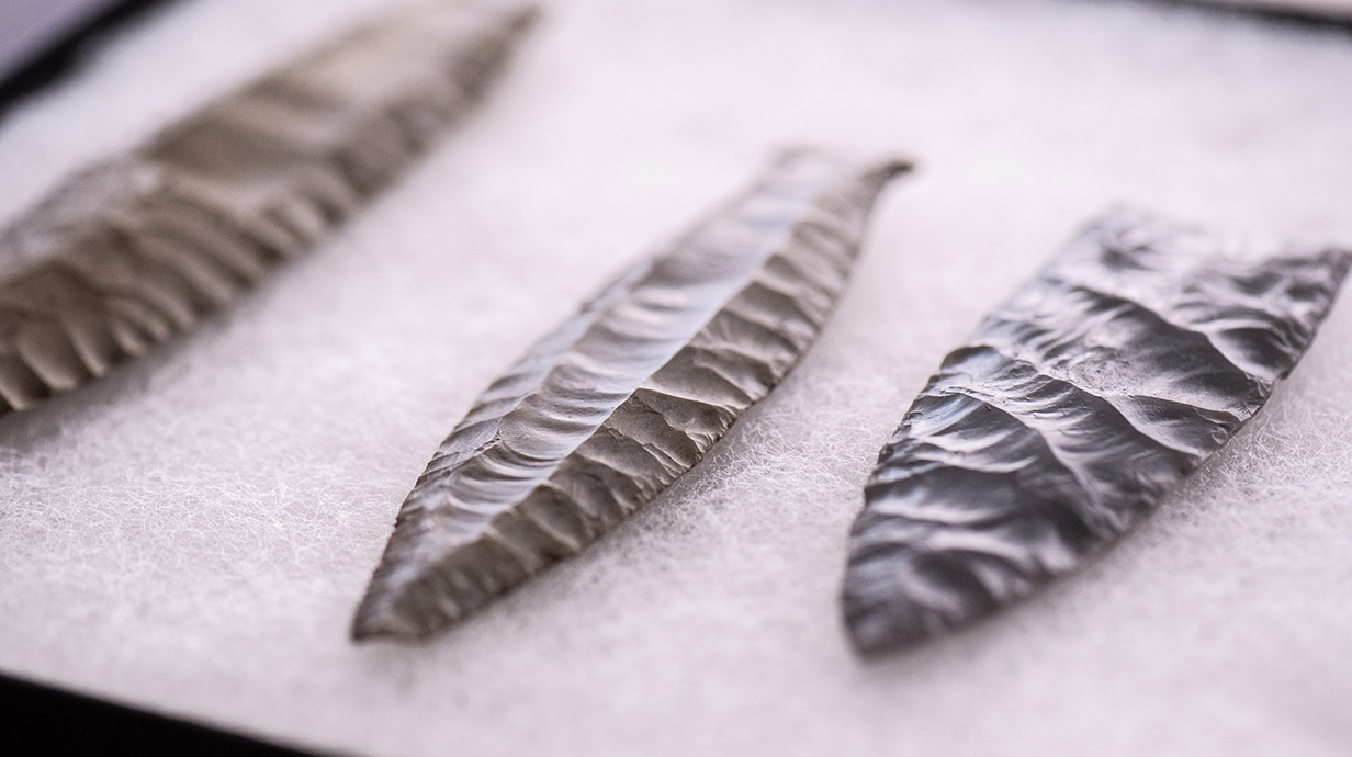 Several stone spear points sit on a white display card.