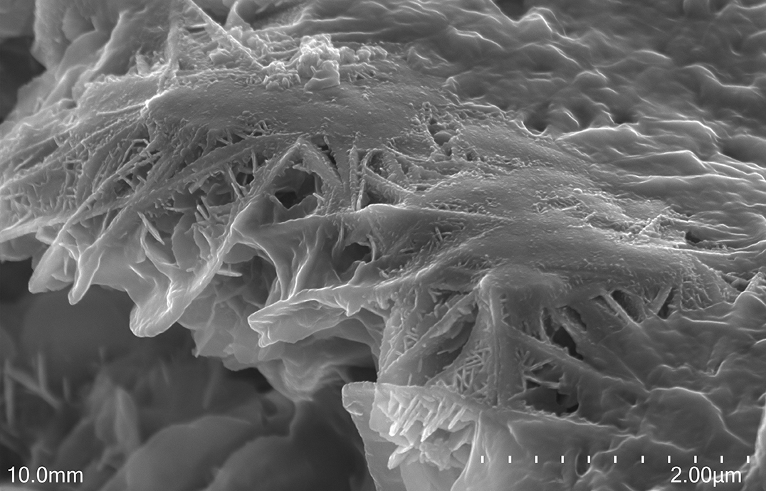 Black-and-white image of a material seen through an electron microscope. 