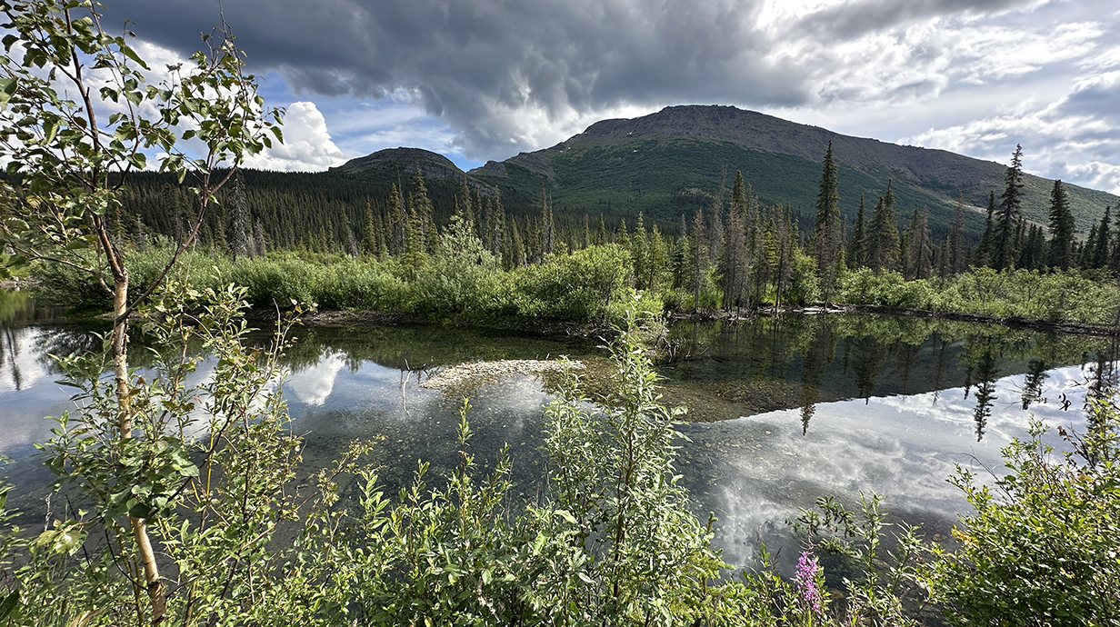 A lake surrounded by plants and flowers sits in front of a cloud-topped mountain.