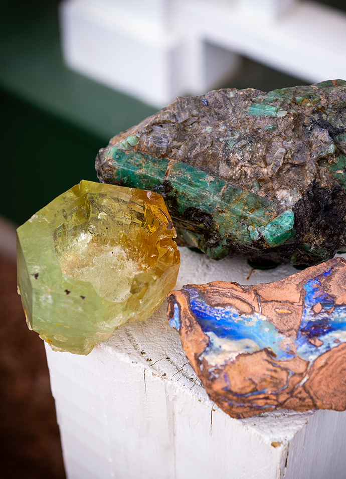 Samples of colorful minerals sit in a display case. 