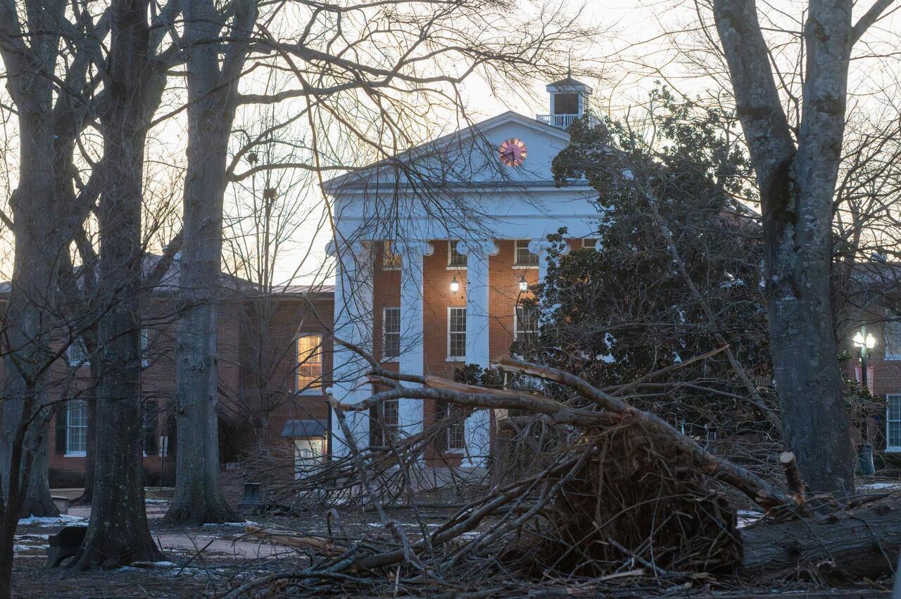 An image of fallen trees from Winter Storm Fern in front of the Lyceum.