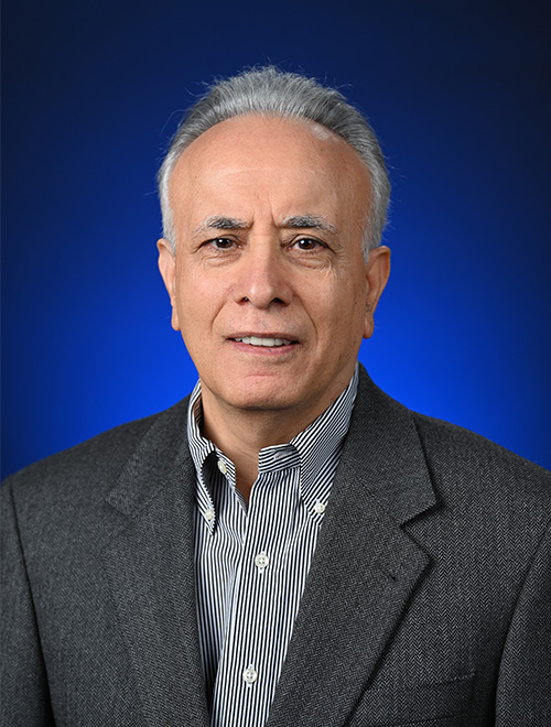 Bahram Alidaee headshot