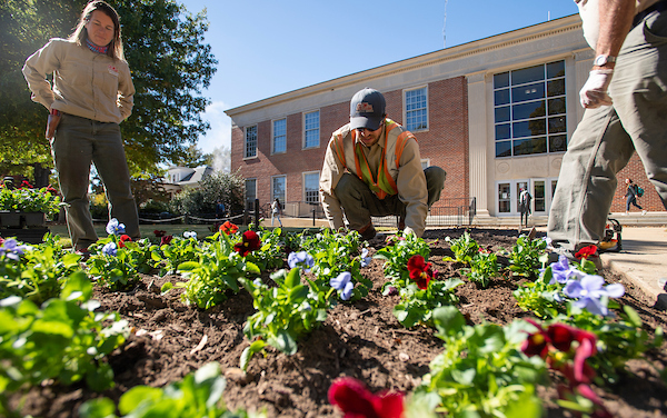 Employee planting flowers