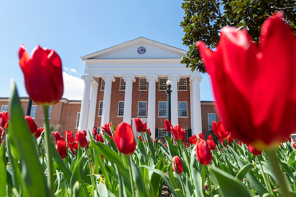 Red tulips in front of the Lyceum