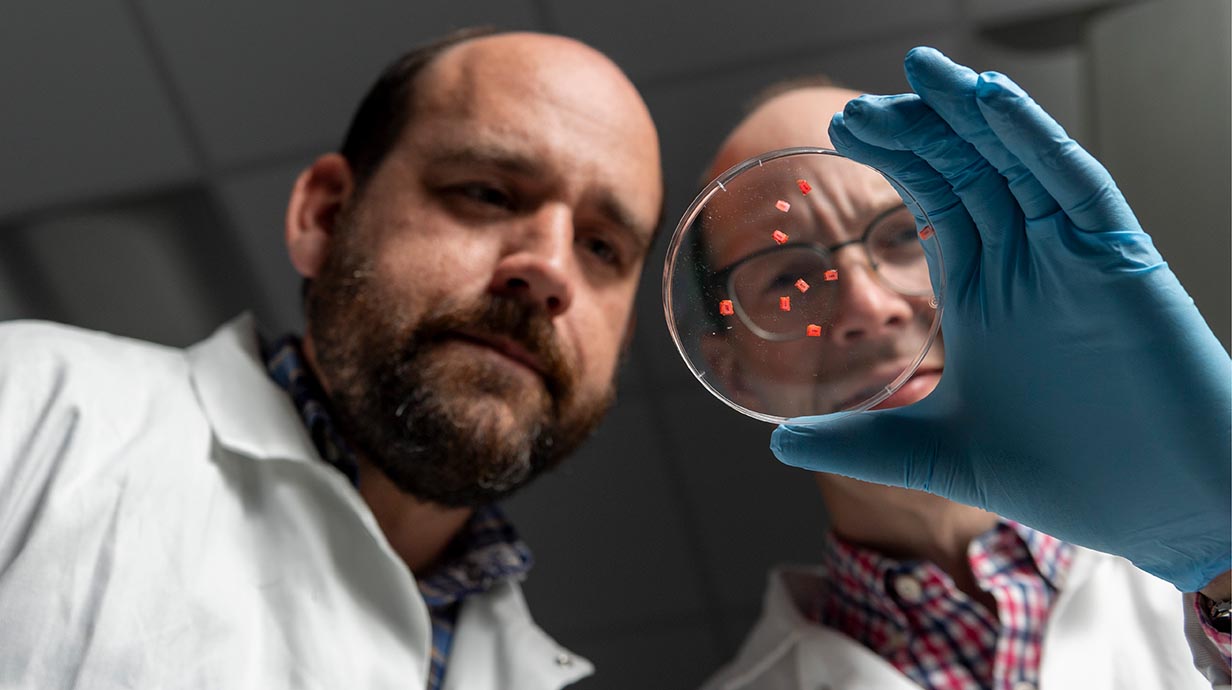 Dr. Thomas Werfel and Dr. Glenn Walker hold up their device that can be implanted in the body to microdose psychedelic drugs for treatment-resistant depression.