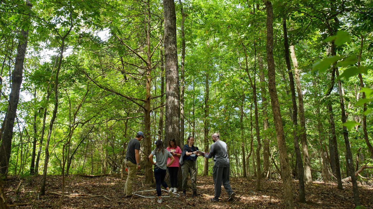 Students get hands-on experience in the forest
