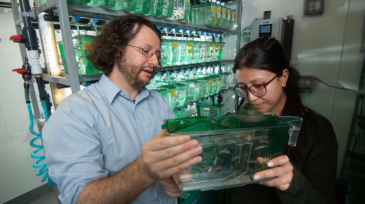 Professor and student looking at specimen in lab. Containers of bright green liquid line the wall in the background.