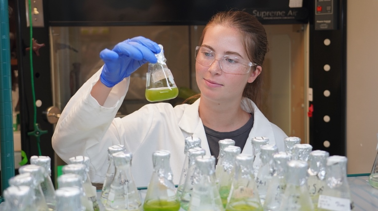 Photo of medicinal chemistry students working together in a lab.