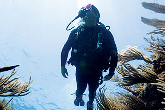 Marc Slattery's marine research