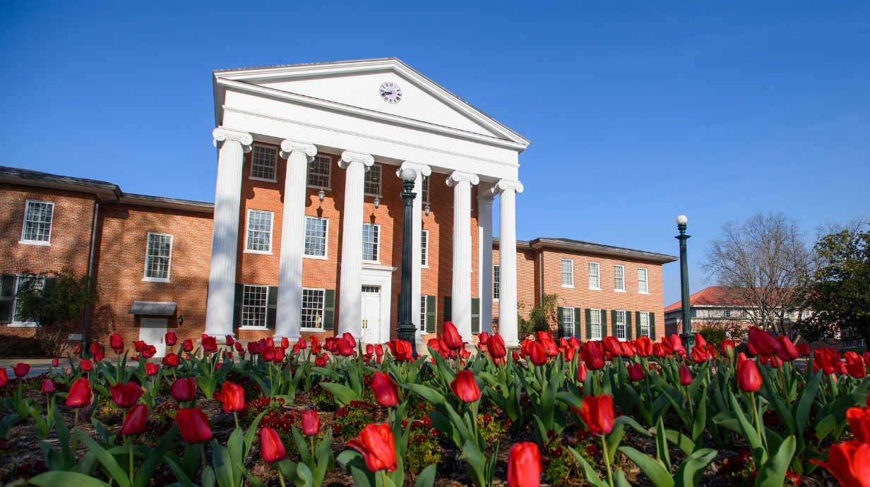 Tulips bloom in front of the Lyceum on the Ole Miss campus.