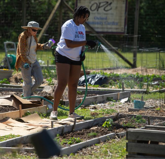 Students work in the community garden.
